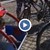 Най-малкият участник във велопохода Русе - Гюргево е само на две годинки