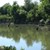 Баща и син се удавиха във водите на река Вит край Плевен