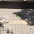 Отломка от фасада падна на спирка в София