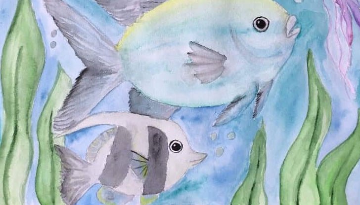 В него могат да участват ученици от 1-ви до 12-ти клас В него могат да участват ученици от 1-ви до 12-ти клас