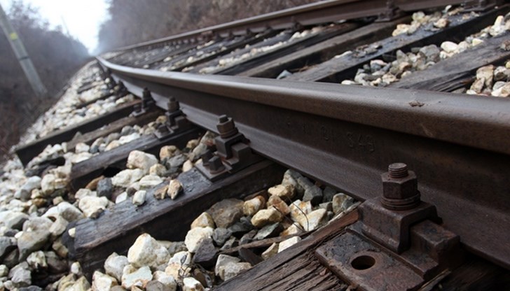 Животните пресичали релсите, когато влакът връхлетял