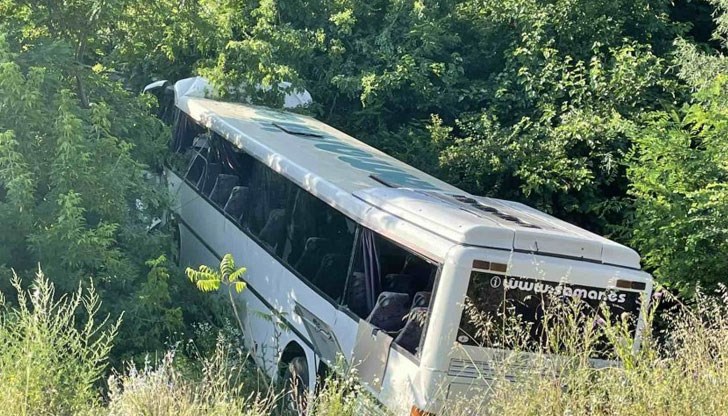 При инцидента е пострадал шофьорът