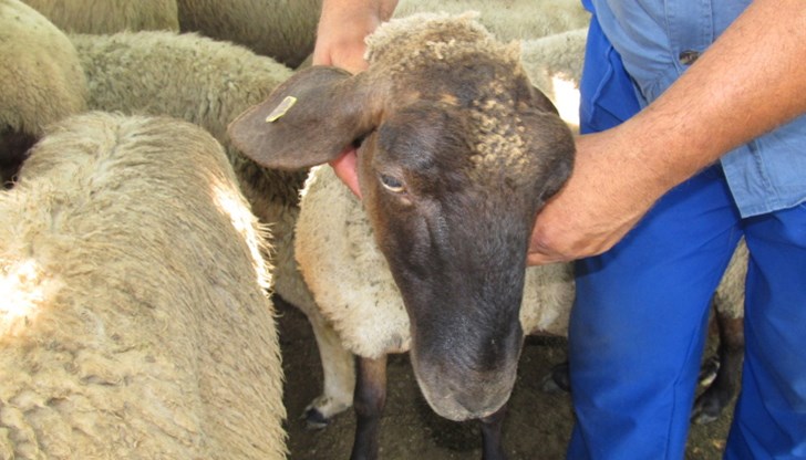 Днес ВАС прекратява съдебното производство по казуса