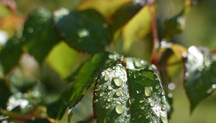 Максималните температури ще са между 24° и 29 Максималните температури ще са между 24° и 29