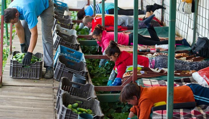 Трудовите права на командированите български работници са описани в специална брошура Трудовите права на командированите български работници са описани в специална брошура
