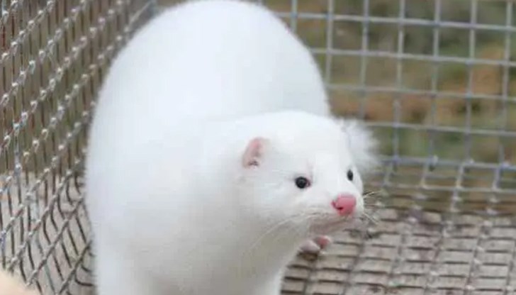 Установено е, че през ноември миналата година е променена първоначално създадената програма за контрол и надзор