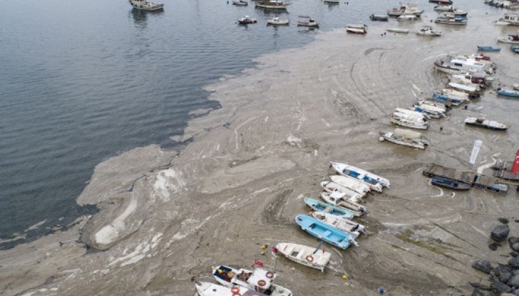 Плътен слой от приличаща на слуз материя се шири по протежение на Мраморно море в района на Истанбул