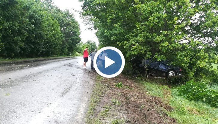 Лек автомобил се е забил в крайпътно дърво след разклона за село Сандрово
