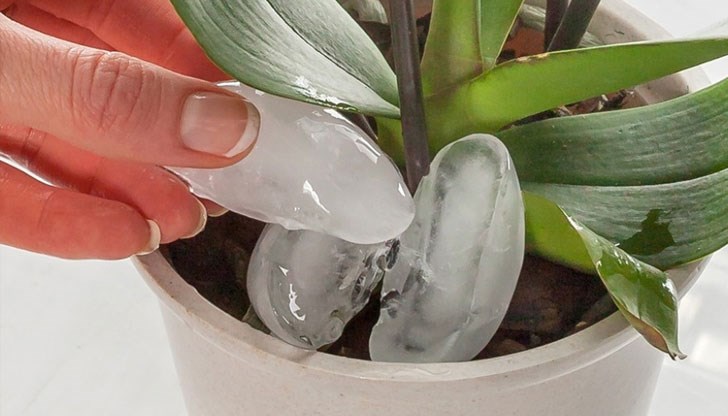 Ето какви ползи носи този метод