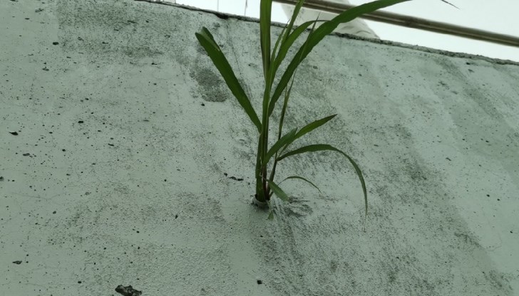 За реконструкцията му през 2016 година администрацията на Пламен Стоилов "усвои" 8.7 млн. лева по европроект