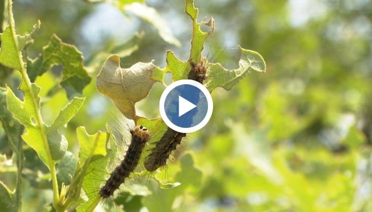 Туристи, попаднали на мястото, остават поразени от видяното