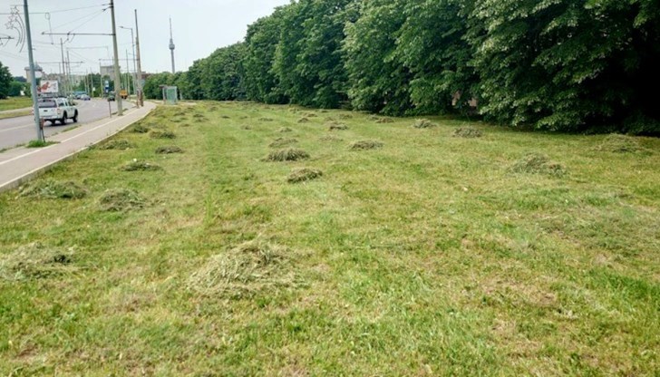 Косенето се извършва от служителите паралелно в шестте района на Русе Косенето се извършва от служителите паралелно в шестте района на Русе