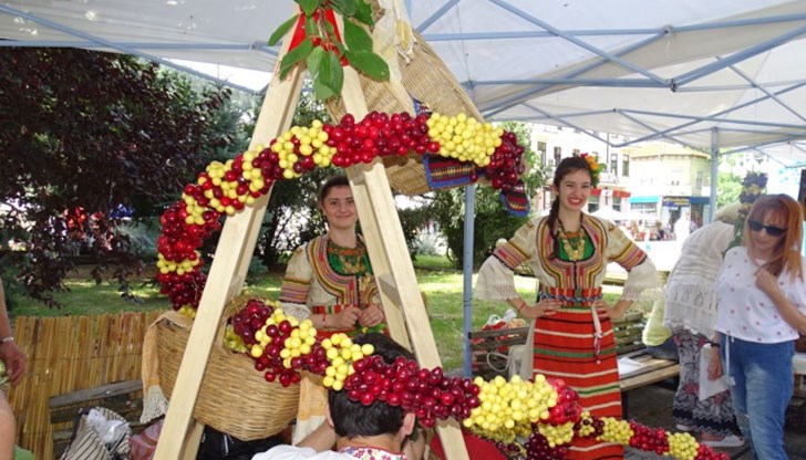 Фестивалът на черешата в Кюстендил