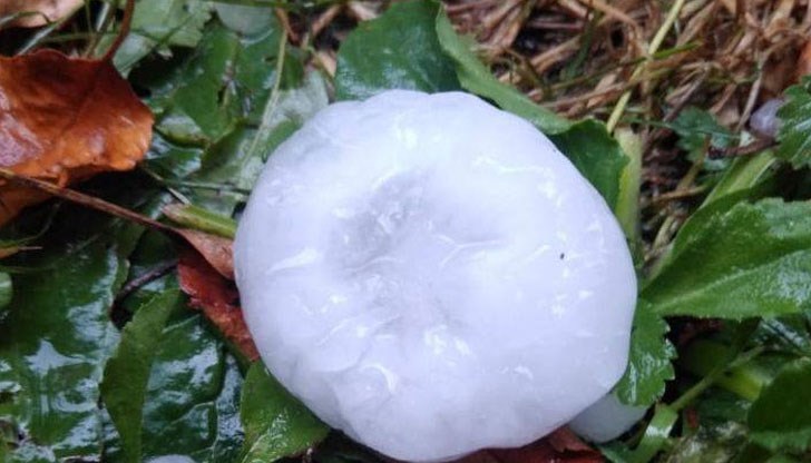 Горна Оряховица обяви частично бедствено положение