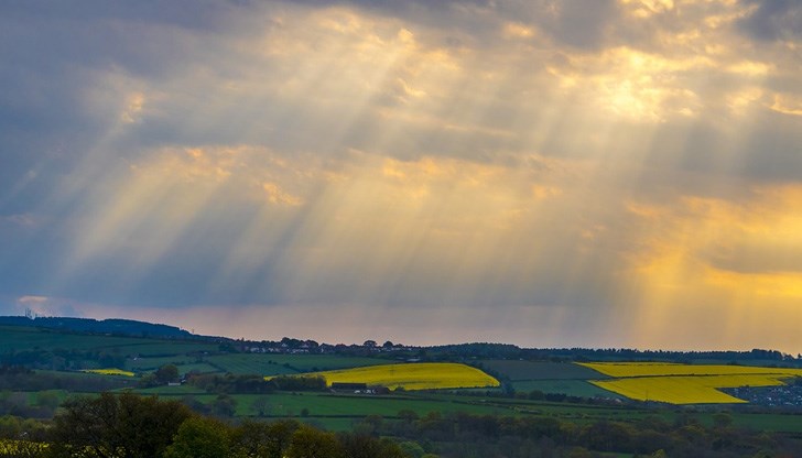 Например стръковете царевица са с различна височина Например стръковете царевица са с различна височина