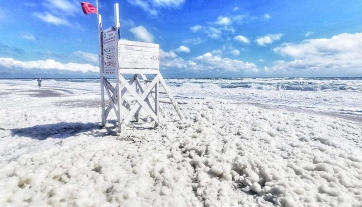 Вероятната причина за пяната е цъфтежа на планктона