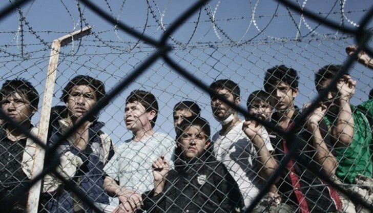 Още шестима нелегални мигранти са задържани днес