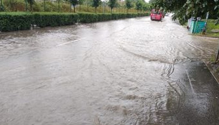 В Русе - 25 л/кв. м, в Шумен и Добрич – 21 л/кв. м, в Разград и Силистра – 20, в Плевен – 14, Велико Търново – 11