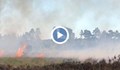 Голям пожар бушува край АМ "Тракия"