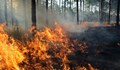 Отново пламна огромният пожар над село Виден