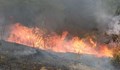 8 екипа гасят пожар край хасковското село Брягово