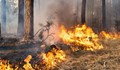 Голям пожар избухна в Сакар планина