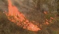 Нов пожар се разгоря в Сакар планина