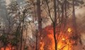 Зачестяват пожарите в Ямболска област