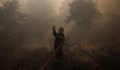 Над 50 пожара в Гърция, огънят стигна до предградия на Атина