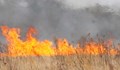 20 декара пшеница изгоряха край село Божурово