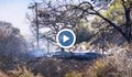 Три големи пожара бушуват на остров Кипър