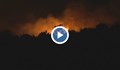 Огнена стихия край Свиленградско "погълна" 2000 дка борова гора