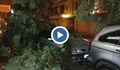 Рухнали дървета и смачкани коли след бурята в Пловдив