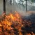 Отново пламна огромният пожар над село Виден