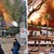 Огненият ад продължава: Хиляди евакуирани в Гърция заради голям пожар край Патра