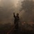 Над 50 пожара в Гърция, огънят стигна до предградия на Атина