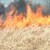 Пожар изпепели 200 декара пшеница