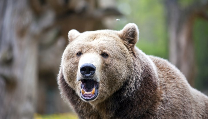 Жената е с разкъсвания и наранявания Жената е с разкъсвания и наранявания