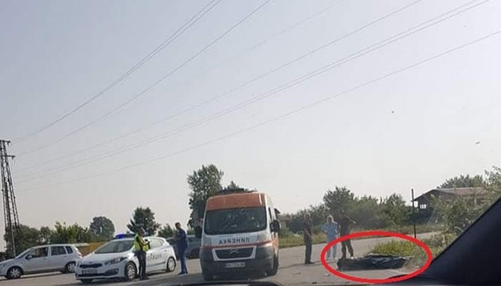 Катастрофата между два леки автомобила стана тази сутрин при разклона за село Рупци Катастрофата между два леки автомобила стана тази сутрин при разклона за село Рупци