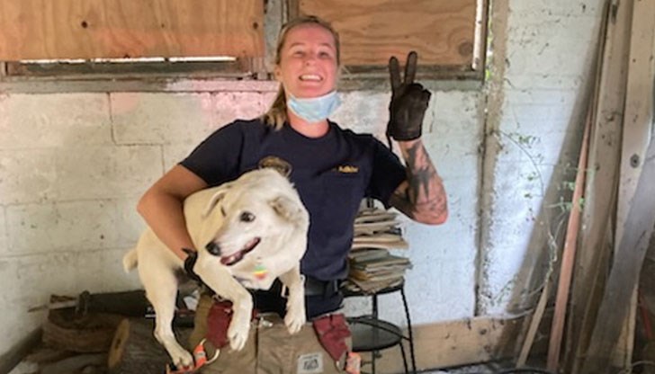 Гърти радостно маха с опашка след спасителната мисия Гърти радостно маха с опашка след спасителната мисия