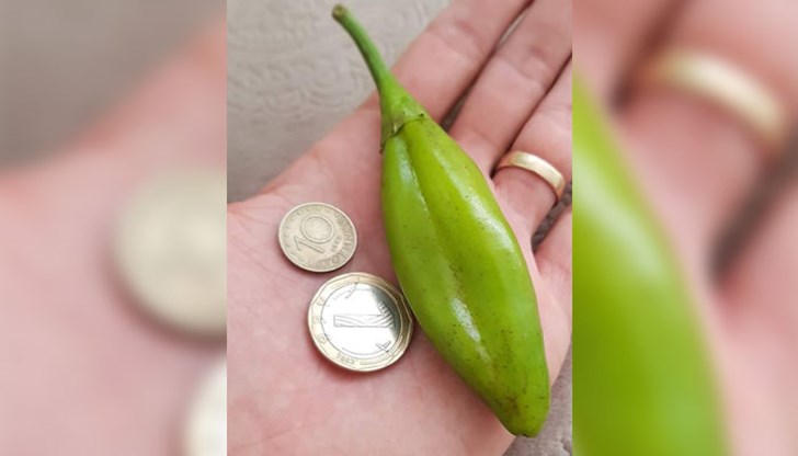 Алчността и бездушието ще ни погубят! Алчността и бездушието ще ни погубят!