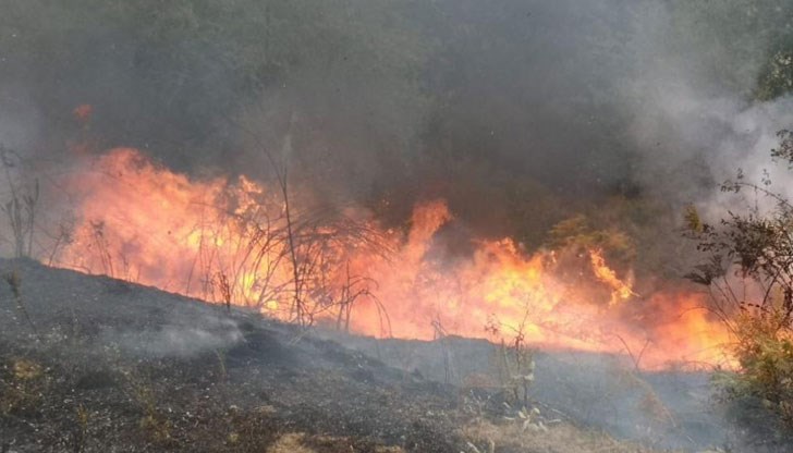 Пожарникарите са локализирали пожара от страната към село Корен