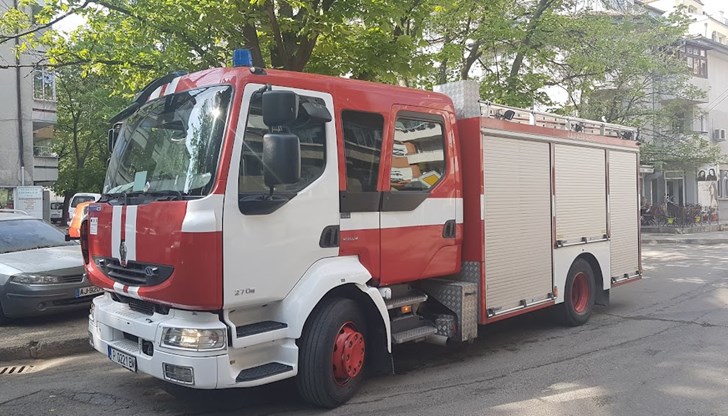 Той е на видима възраст около 25 години.