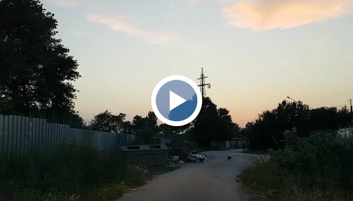 Тези сметища са потенциален източник на зарази