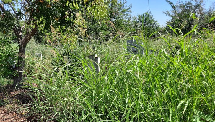 Обяснението е на новия управител