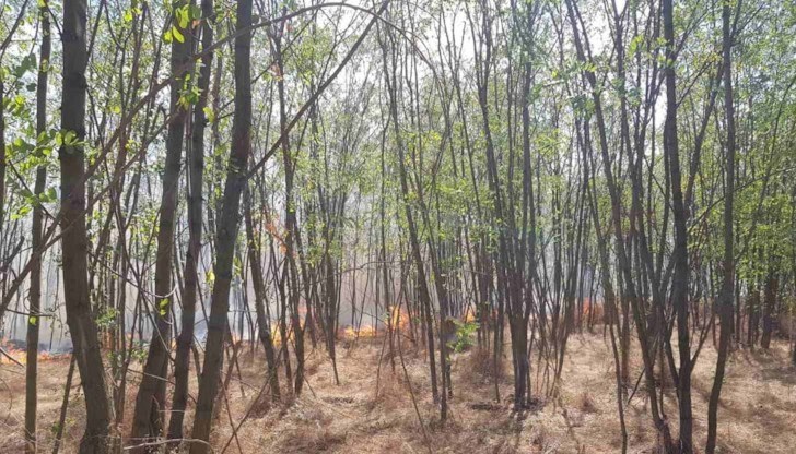 Пожарникарите припомнят правилата за безопасност