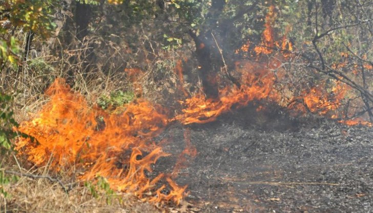 Метеоролозите предупреждават за възможни бързо разпространяващи се много силни пожари