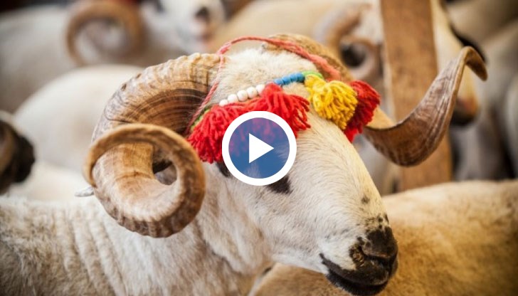 По традиция празникът започва със сутрешна молитва