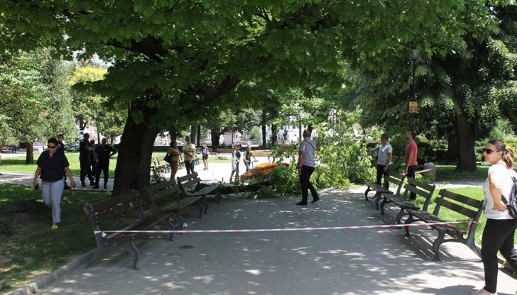 Дете също е пострадало при инцидента Дете също е пострадало при инцидента