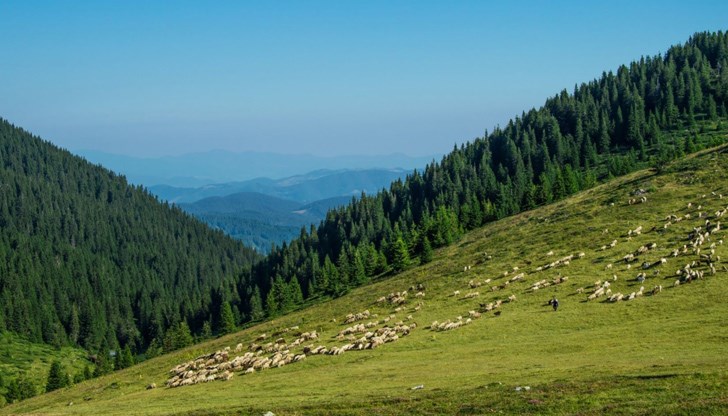 Много изследвания показват, че както отрицателната йонизация, така и въздух, богат на фитонциди, имат изключително положителен ефект върху имунната защита на човешкия организъм Много изследвания показват, че както отрицателната йонизация, така и въздух, богат на фитонциди, имат изключително положителен ефект върху имунната защита на човешкия организъм